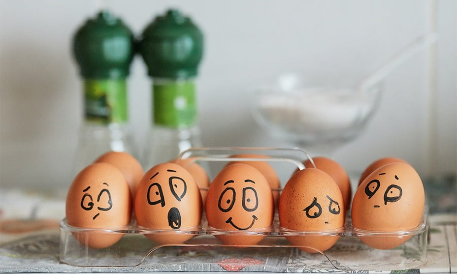egg