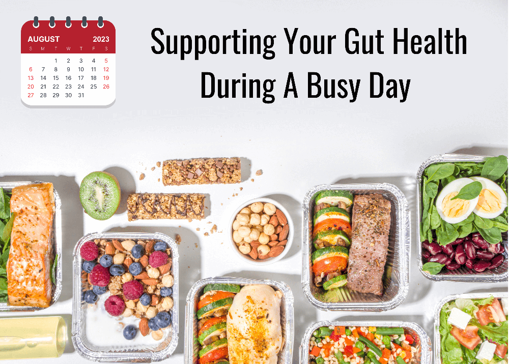 Supporting Your Gut Health During A busy Day