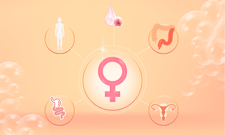 Estrogen regulation Estrogen regulation